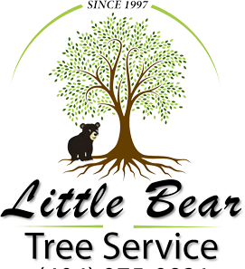 Little Bear Tree Service